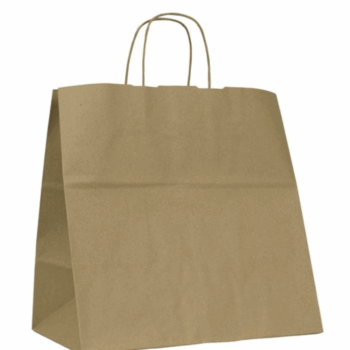 BOLSA PAPEL KRAFT ASA PLANA - 320x220x330 MM
